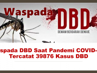 Waspada DBD Saat Pandemi COVID-19, Tercatat 39876 Kasus DBD