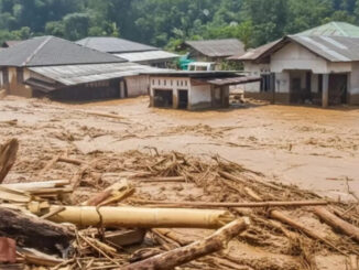 Alam Marah: Bencana Ekologi Danau Toba & Kerusakan Hutan Akibat Janji Palsu