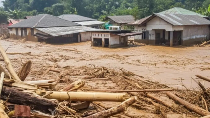 Alam Marah: Bencana Ekologi Danau Toba & Kerusakan Hutan Akibat Janji Palsu